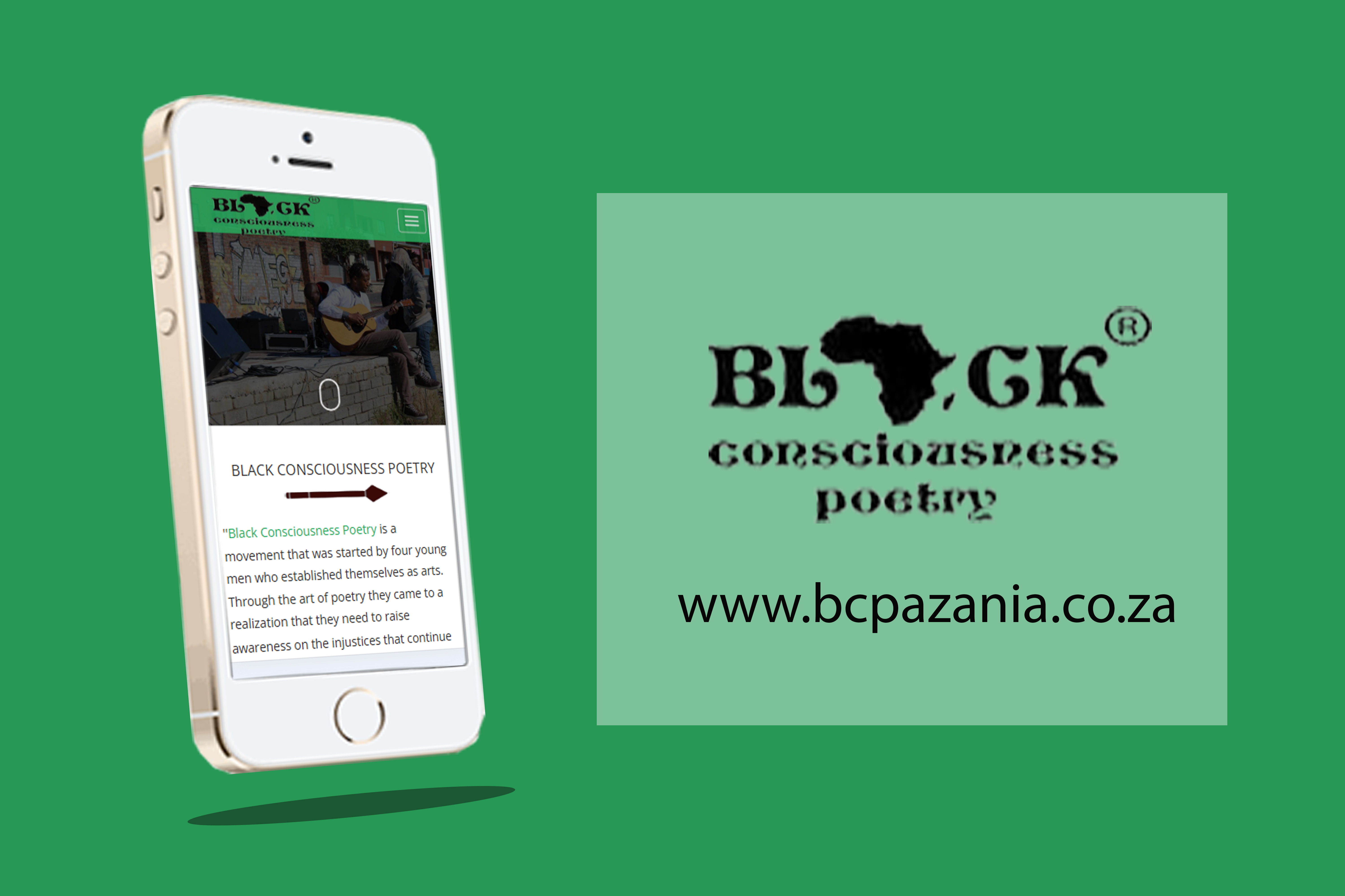 Mr Bin Cleaner & Waste Management